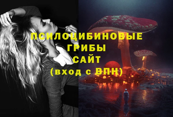стафф Беломорск