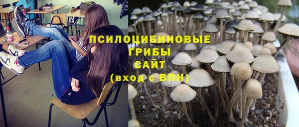 мет Баксан