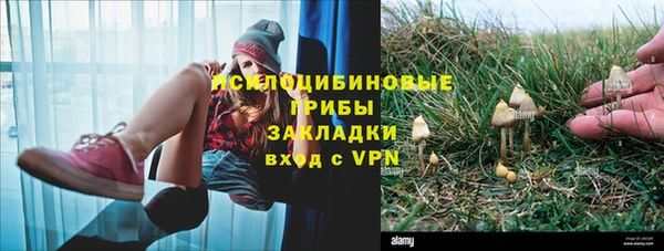 шишки Балахна