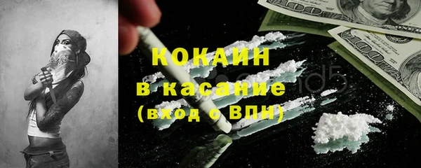 шишки Балахна