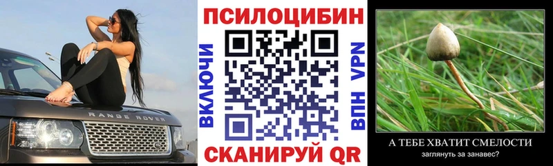Купить закладки  Лобня  Псилоцибиновые грибы Cubensis 